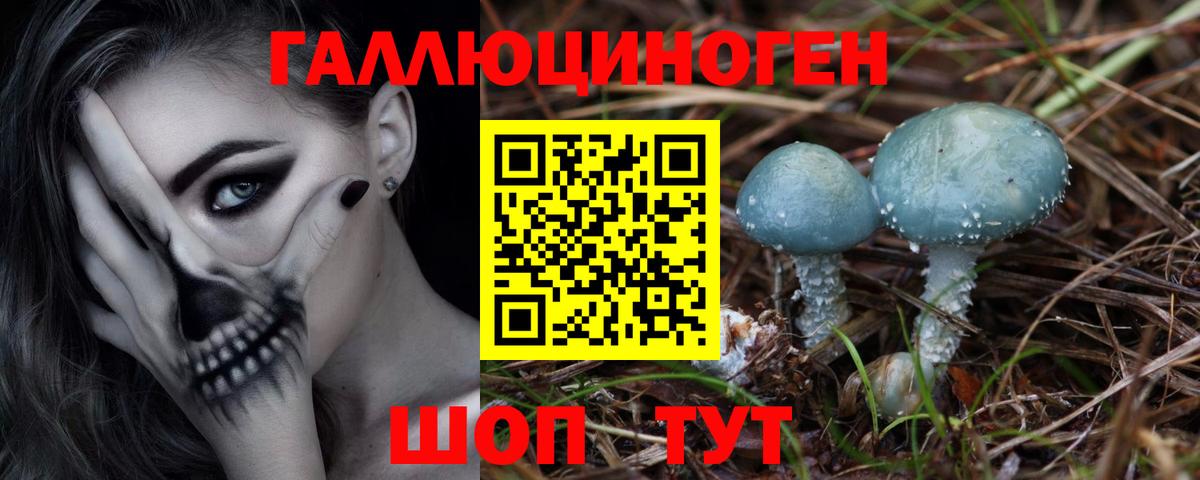 Черногорск  Галлюциногенные грибы Psilocybe  как найти закладки  Вход с VPN  Галлюциногенные грибы Cubensis 