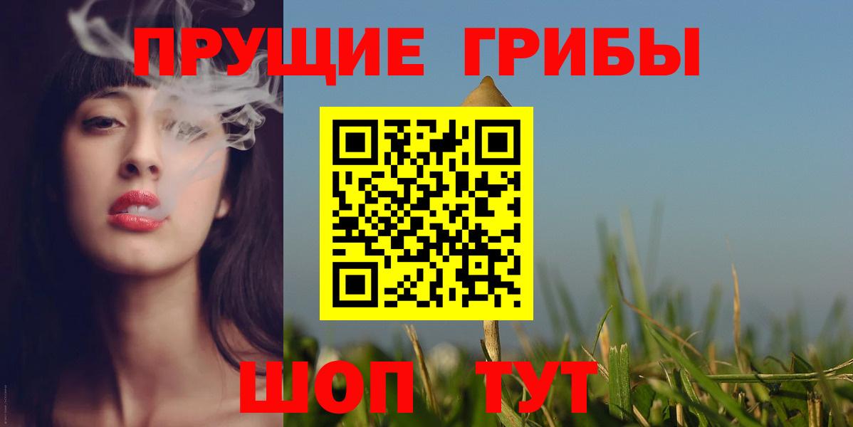 Псилоцибиновые грибы Psilocybe Черногорск